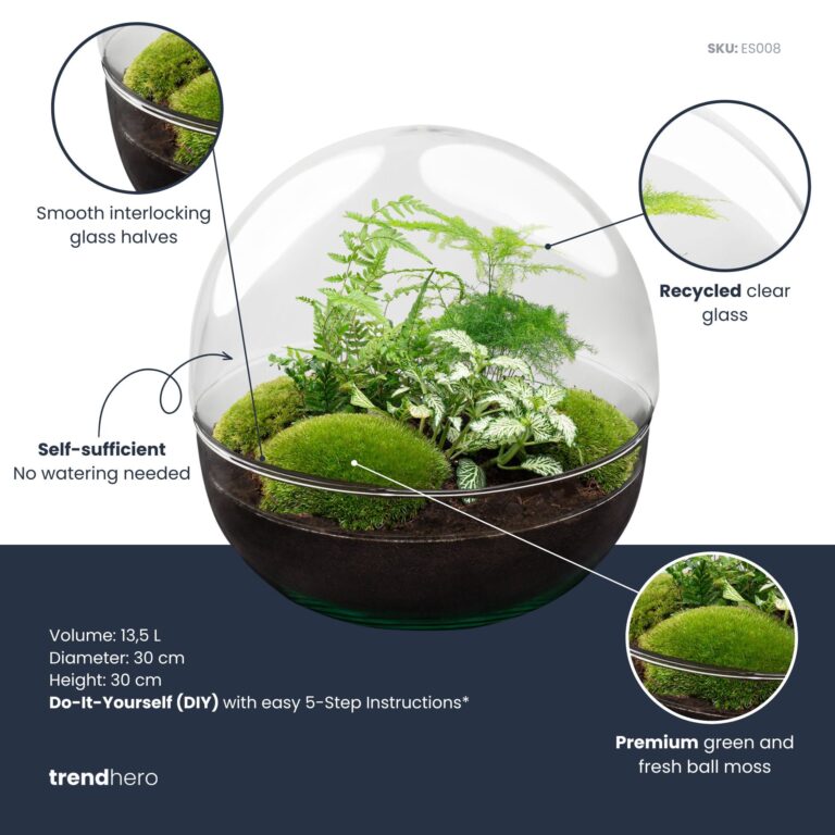 UrbanJngl Terrarium Plants -UrbanJngl Terrarium Plants dome xl green plant terrarium diy kit info trendhero 768x768 1