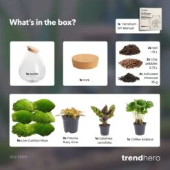 Drop XXL Red - Terrarium With Cork - Bottle Garden DIY Kit - Ø 34 Cm ↑ 43 Cm -UrbanJngl Terrarium Plants drop xxl red terrarium diy bottle garden b02ce296 6095 4be1 820a f0511bcc0a99