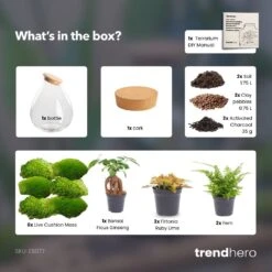 Drop XXL Bonsai - Terrarium With Cork - Bottle Garden DIY Kit - Ø 34 Cm ↑ 43 Cm -UrbanJngl Terrarium Plants drop xxl terrarium diy bottle garden