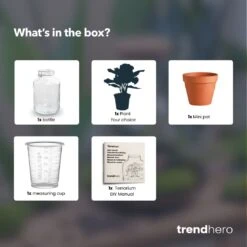 Easyplant - Fido Terrarium Jar - Bottle Garden DIY Kit - Ø 18 Cm ↑ 28 Cm -UrbanJngl Terrarium Plants easyplant choose plant terrarium diy bottle garden