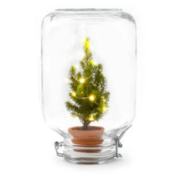 UrbanJngl Terrarium Plants -UrbanJngl Terrarium Plants easyplant mini kerstboom in fles kerstverlichting