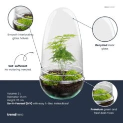 Egg - Terrarium - Two-part Glass Dome - Bottle Garden DIY Kit - Ø 12 Cm ↑ 25 Cm -UrbanJngl Terrarium Plants egg asparagus plant terrarium diy kit info trendhero