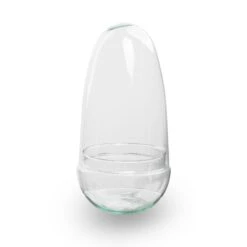 Egg - Terrarium - Two-part Glass Dome - Bottle Garden DIY Kit - Ø 12 Cm ↑ 25 Cm -UrbanJngl Terrarium Plants egg terrarium no hole 94fec914 85d3 4a1f ab05 204420961b5d