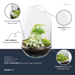 Egg XL - Terrarium - Two-part Glass Dome - Bottle Garden DIY Kit - Ø 17.5 Cm ↑ 30 Cm -UrbanJngl Terrarium Plants egg xl plant terrarium diy kit info trendhero