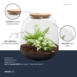 Emma Mini - Terrarium With Cork - Bottle Garden DIY Kit - Ø 19 Cm ↑ 20 Cm -UrbanJngl Terrarium Plants emma mini white plant terrarium diy kit info trendhero