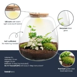Emma - Terrarium With Light - Bottle Garden DIY Kit - Ø 23 Cm ↑ 25 Cm 14 Emma - Terrarium With Light - Bottle Garden DIY Kit - Ø 23 Cm ↑ 25 Cm -UrbanJngl Terrarium Plants emma plant terrarium diy kit info trendhero