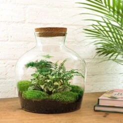 Fat Joe Green - Terrarium With Light - Bottle Garden DIY Kit - Ø 29 Cm ↑ 30 Cm -UrbanJngl Terrarium Plants fat joe green terrarium met planten in fles f76dc20b be25 4a25 bc4f 414a42e46767