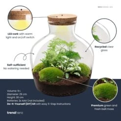 Fat Joe Green - Terrarium With Light - Bottle Garden DIY Kit - Ø 29 Cm ↑ 30 Cm -UrbanJngl Terrarium Plants fatjoe green plant terrarium diy kit info trendhero b99fd343 a730 494d 9ecb 3934aaf20695