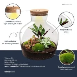 Fat Joe Red - Terrarium With Light - Bottle Garden DIY Kit - Ø 29 Cm ↑ 30 Cm -UrbanJngl Terrarium Plants fatjoe red plant terrarium diy kit info trendhero
