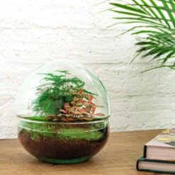Dome Red - Two-part Round Glass Terrarium - Bottle Garden DIY Kit - Ø 20 Cm ↑ 20 Cm 6 Dome Red - Two-part Round Glass Terrarium - Bottle Garden DIY Kit - Ø 20 Cm ↑ 20 Cm -UrbanJngl Terrarium Plants flaschengarten kit dome rot
