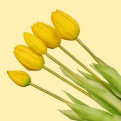 Vase Lady ‘Kylie’ ↑ 27 Cm + 10x Real Touch Tulips Yellow -UrbanJngl Terrarium Plants kunst tulpen boeket geel 5 stuks 5c0700bc 6ea0 4253 afb4 35a86f367a27