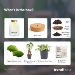 Little Milky - Terrarium With Light - Bottle Garden DIY Kit - Ø 17 Cm ↑ 25 Cm 24 Little Milky - Terrarium With Light - Bottle Garden DIY Kit - Ø 17 Cm ↑ 25 Cm -UrbanJngl Terrarium Plants little Milky bonsai white tiger terrarium diy bottle garden 63e9da2c 9e75 4591 bf0d ebb001b0c78f