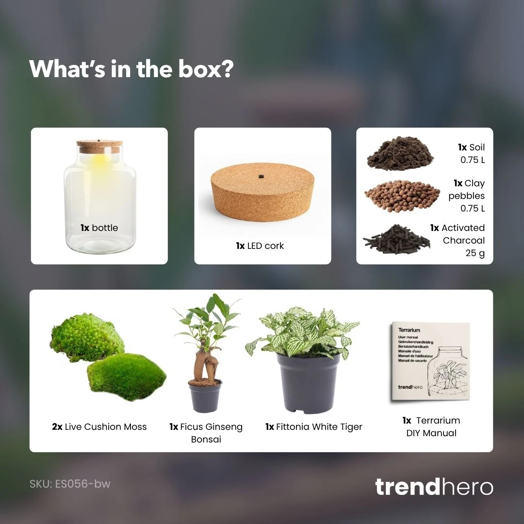 Little Milky - Terrarium With Light - Bottle Garden DIY Kit - Ø 17 Cm ↑ 25 Cm 12 Little Milky - Terrarium With Light - Bottle Garden DIY Kit - Ø 17 Cm ↑ 25 Cm - Image 12