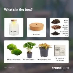 Little Milky - Terrarium With Light - Bottle Garden DIY Kit - Ø 17 Cm ↑ 25 Cm 20 Little Milky - Terrarium With Light - Bottle Garden DIY Kit - Ø 17 Cm ↑ 25 Cm -UrbanJngl Terrarium Plants little Milky coffea ruby lime terrarium diy bottle garden