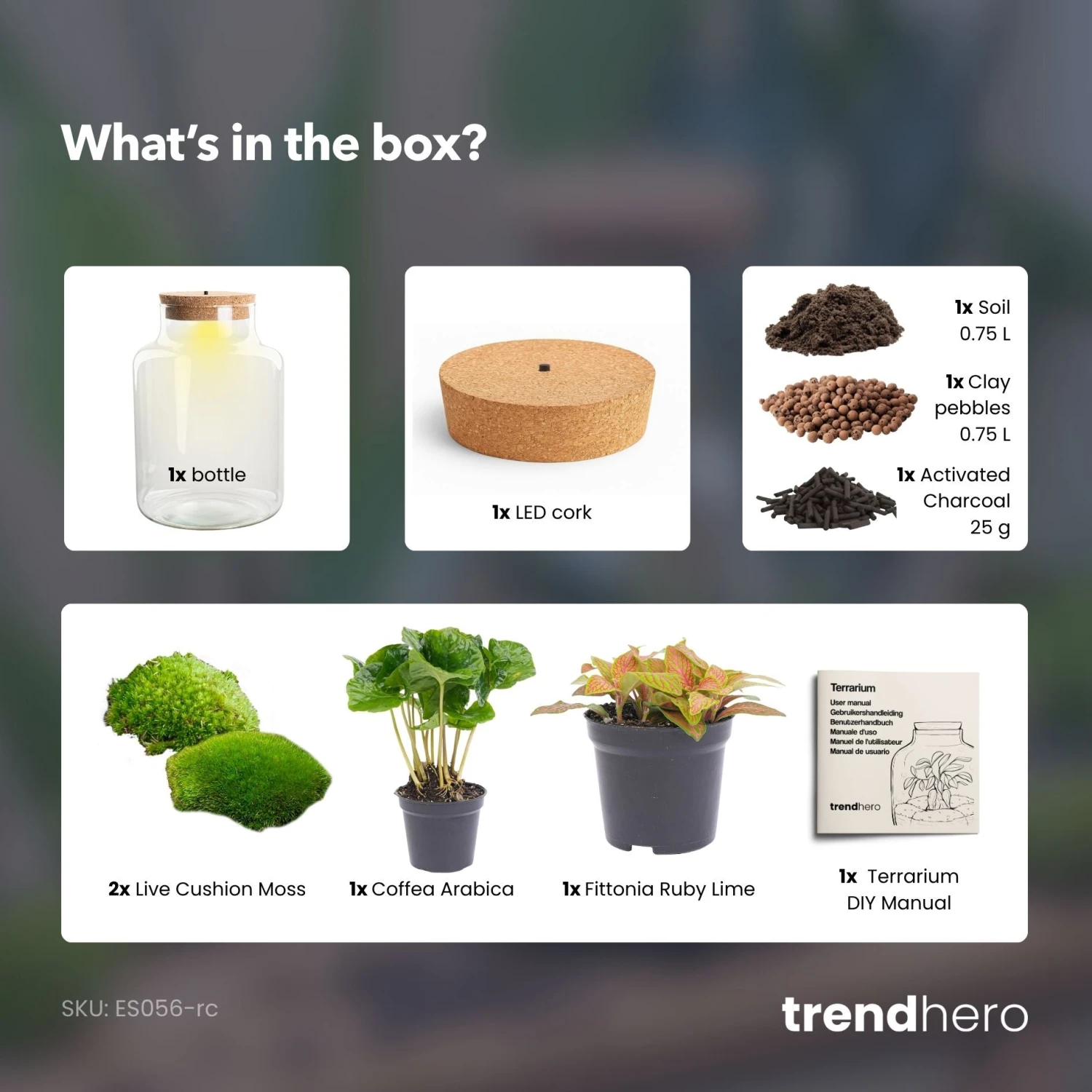 Little Milky - Terrarium With Light - Bottle Garden DIY Kit - Ø 17 Cm ↑ 25 Cm 8 Little Milky - Terrarium With Light - Bottle Garden DIY Kit - Ø 17 Cm ↑ 25 Cm - Image 8