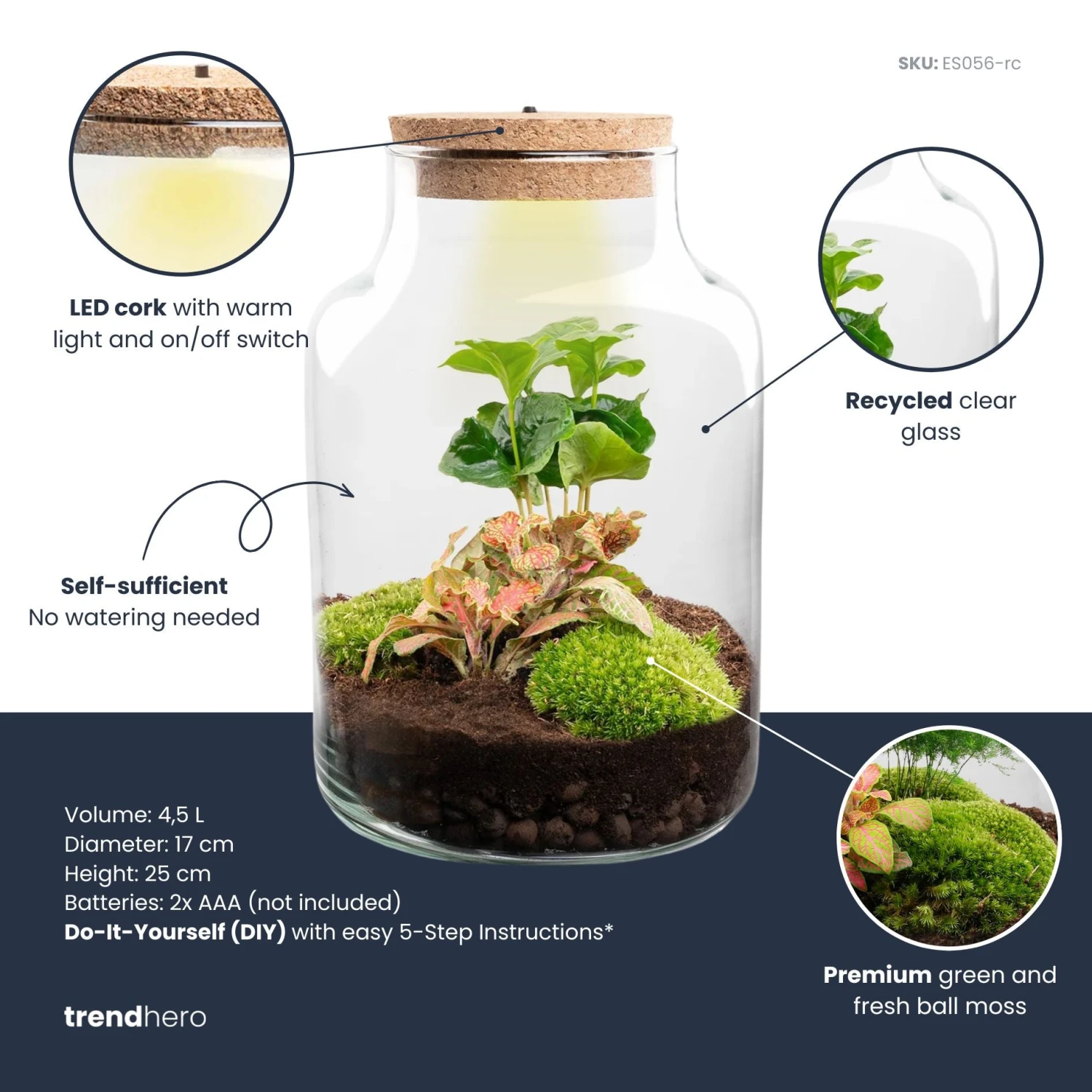 Little Milky - Terrarium With Light - Bottle Garden DIY Kit - Ø 17 Cm ↑ 25 Cm 7 Little Milky - Terrarium With Light - Bottle Garden DIY Kit - Ø 17 Cm ↑ 25 Cm - Image 7