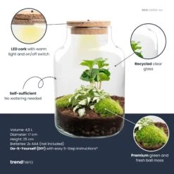 Little Milky - Terrarium With Light - Bottle Garden DIY Kit - Ø 17 Cm ↑ 25 Cm 23 Little Milky - Terrarium With Light - Bottle Garden DIY Kit - Ø 17 Cm ↑ 25 Cm -UrbanJngl Terrarium Plants little milky white coffea plant terrarium diy kit info trendhero
