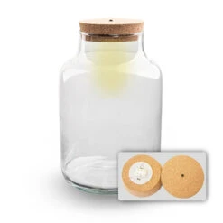 Terrarium Bottle 'Milky' With LED-lighting - Closed Terrarium Ø 21 Cm ↑ 30 Cm -UrbanJngl Terrarium Plants milky met led verlichting terrarium fles 1