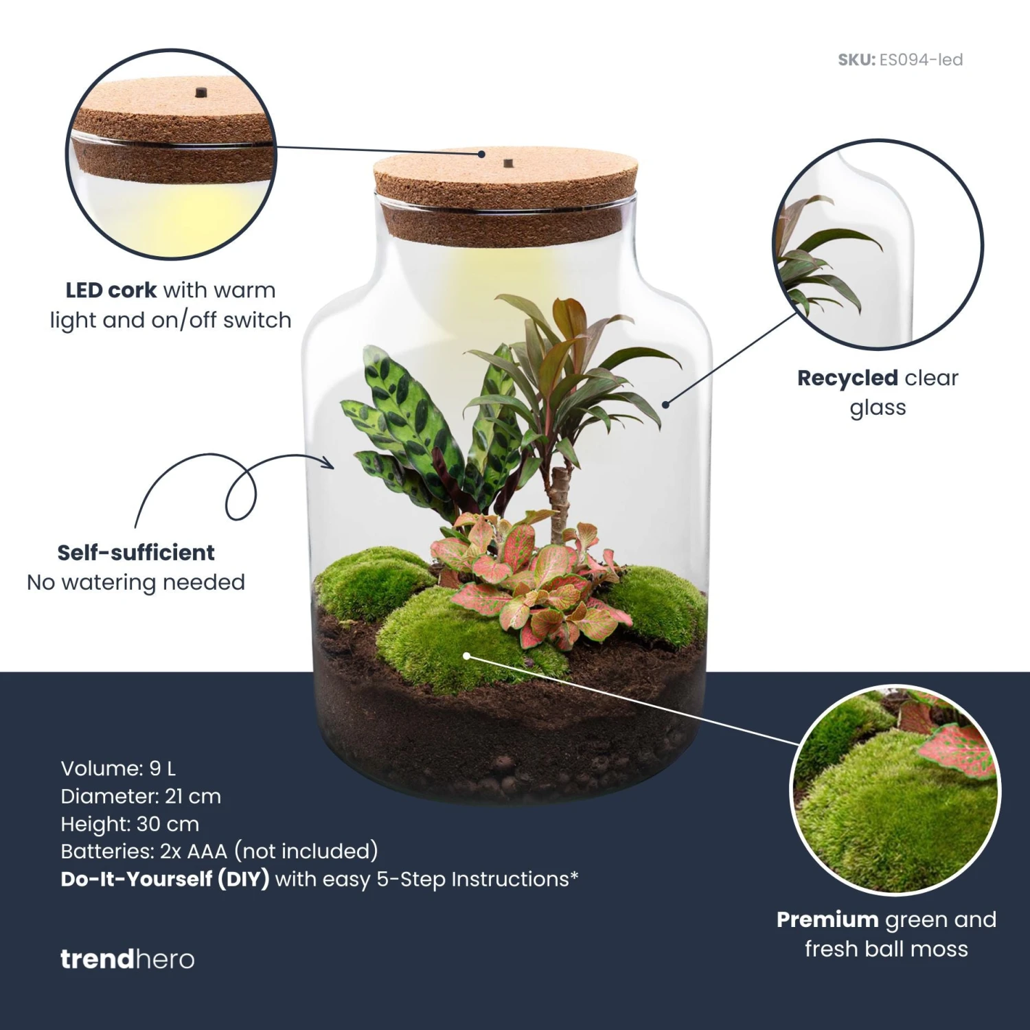 Milky Palm - Terrarium - Bottle Garden DIY Kit - Ø 21 Cm ↑ 30 Cm 3 Milky Palm - Terrarium - Bottle Garden DIY Kit - Ø 21 Cm ↑ 30 Cm - Image 3
