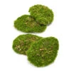 Moss Plate - Green Moss – Set Of 4 - Artificial Moss