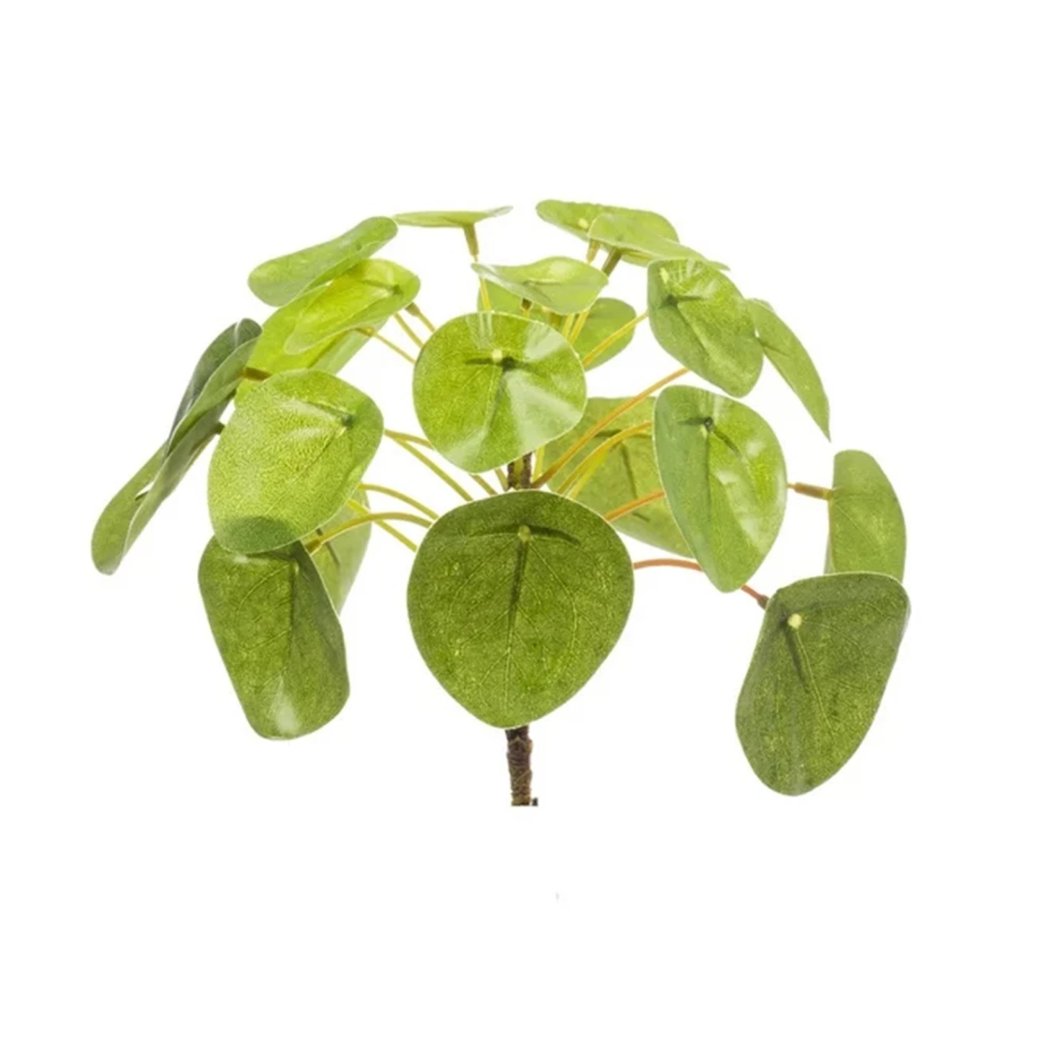 Emerald Pilea Mini Bush – Ø13 Cm - Artificial 1 Emerald Pilea Mini Bush – Ø13 Cm - Artificial