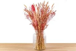 Dried Flowers - Surprise Bouquet - At The Value Of € 39,50 10 Dried Flowers - Surprise Bouquet - At The Value Of € 39,50 -UrbanJngl Terrarium Plants pink FH007 droogbloemen in vaas trockenblumen2 4ab9230e 068f 44c8 bbbe aaecc70208b9