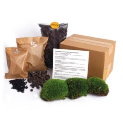 Terrarium Package – Refill & Starter Package – DIY Terrarium Kit – Size L/XL 7 Terrarium Package – Refill & Starter Package – DIY Terrarium Kit – Size L/XL -UrbanJngl Terrarium Plants plant terrarium package 85277014 0cd1 4800 9e06 d2a2d027014d