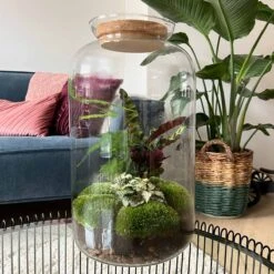 Sven XL Botanical - Terrarium With Light - Bottle Garden DIY Kit - Ø 23 Cm ↑ 43 Cm -UrbanJngl Terrarium Plants planten terrarium sven