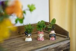 Mini Flower Pot Multi Color - Bobbi - Face Head - 10.5 Cm 10 Mini Flower Pot Multi Color - Bobbi - Face Head - 10.5 Cm -UrbanJngl Terrarium Plants potje 3x miniplant 56656c9d 39cd 4d79 af5e 940b9978d424
