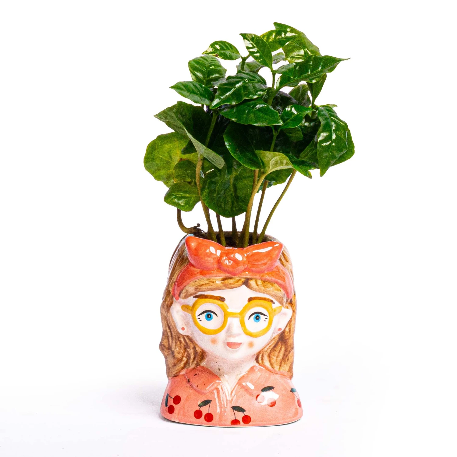 Mini Flower Pot Multi Color - Bobbi - Face Head - 10.5 Cm 1 Mini Flower Pot Multi Color - Bobbi - Face Head - 10.5 Cm
