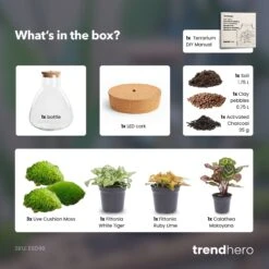 Sam Calathea - Terrarium With Light - Bottle Garden DIY Kit - Ø 24.5 Cm ↑ 30 Cm 11 Sam Calathea - Terrarium With Light - Bottle Garden DIY Kit - Ø 24.5 Cm ↑ 30 Cm -UrbanJngl Terrarium Plants sam calathea terrarium diy bottle garden