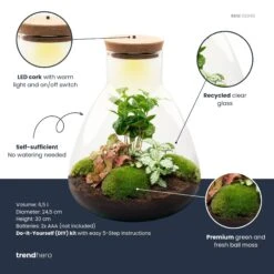 Sam Coffea - Terrarium With Light - Bottle Garden DIY Kit - Ø 24.5 Cm ↑ 30 Cm -UrbanJngl Terrarium Plants sam coffea plant terrarium diy kit info trendhero