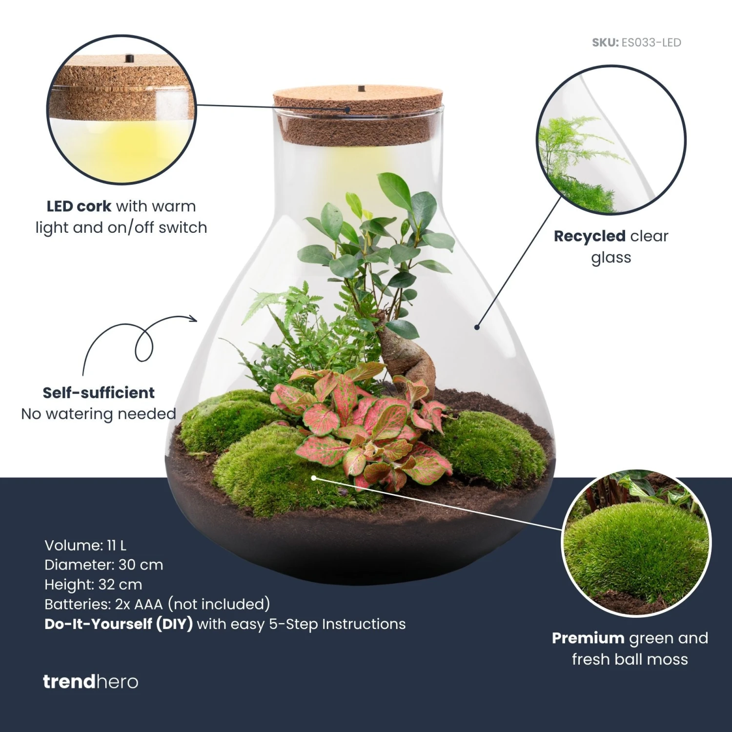 Sam XL Bonsai - Terrarium With Light - Bottle Garden DIY Kit - Ø 30 cm ↑ 32 cm 4 Sam XL Bonsai - Terrarium With Light - Bottle Garden DIY Kit - Ø 30 cm ↑ 32 cm - Image 4