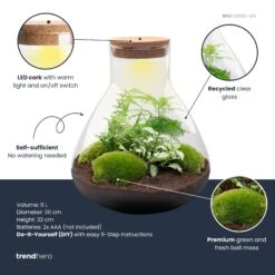 Sam XL - Terrarium With Light - Bottle Garden DIY Kit - Ø 30 cm ↑ 32 cm -UrbanJngl Terrarium Plants samxl green plant terrarium diy kit info trendhero