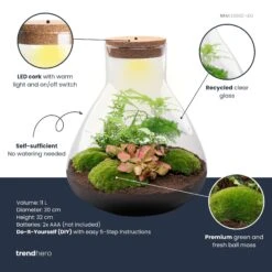 Sam XL Red - Terrarium With Light - Bottle Garden DIY Kit - Ø 30 cm ↑ 32 cm -UrbanJngl Terrarium Plants samxl red plant terrarium diy kit info trendhero