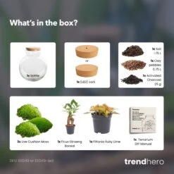 Teddy Bonsai - Terrarium With Light - Bottle Garden DIY Kit - Ø 25 Cm ↑ 26,5 Cm -UrbanJngl Terrarium Plants teddy bonsai terrarium diy bottle garden dd62156b 9784 4758 bba7 39c274a349fe