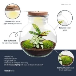 Teddy - Terrarium With Light - Bottle Garden DIY Kit - Ø 25 Cm ↑ 26,5 Cm -UrbanJngl Terrarium Plants teddy plant terrarium diy kit info trendhero