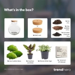 Teddy - Terrarium With Light - Bottle Garden DIY Kit - Ø 25 Cm ↑ 26,5 Cm -UrbanJngl Terrarium Plants teddy terrarium diy bottle garden