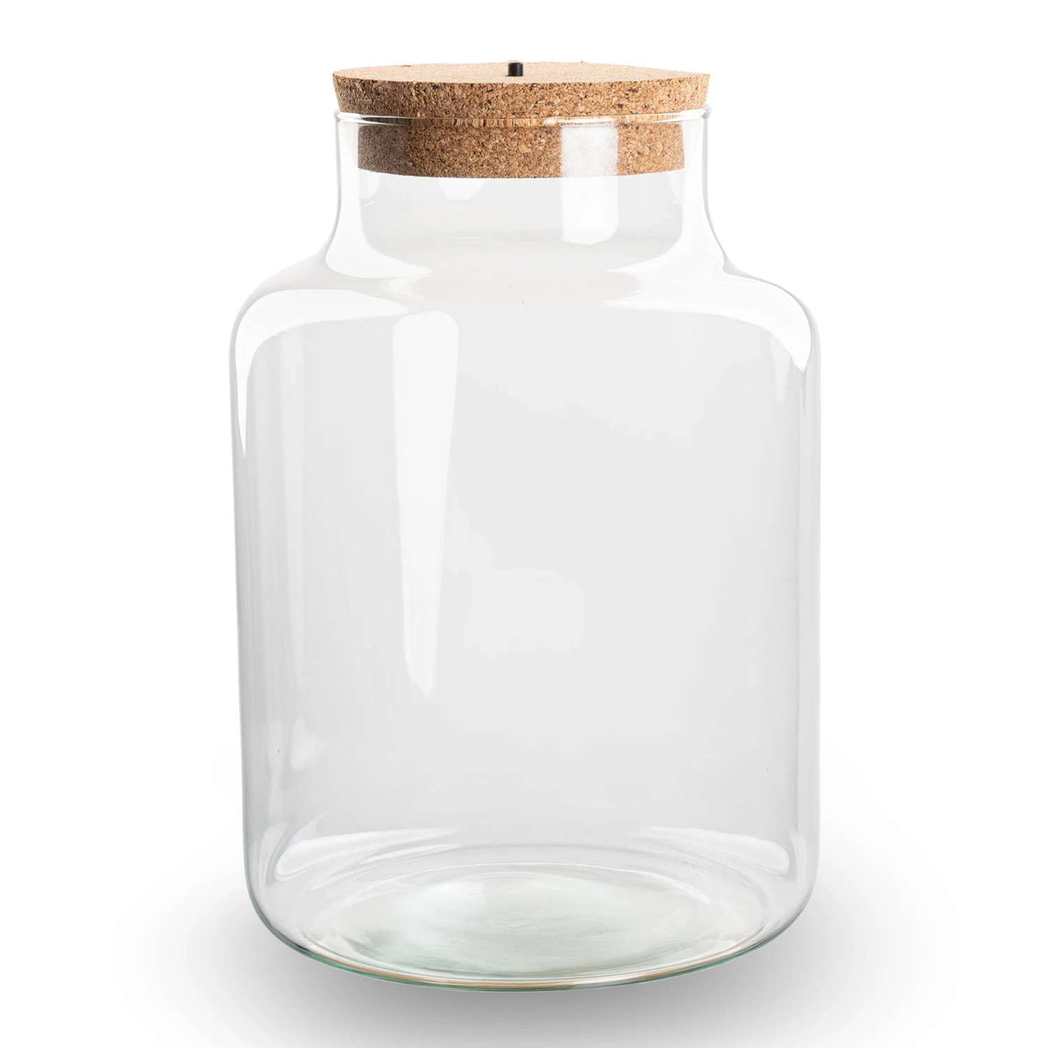 Terrarium Bottle 'Little Milky' - Incl. LED Cork - Closed Terrarium Ø 17 Cm ↑ 25 Cm 2 Terrarium Bottle 'Little Milky' - Incl. LED Cork - Closed Terrarium Ø 17 Cm ↑ 25 Cm - Image 2