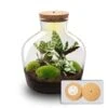 Fat Joe - Terrarium With Light - Bottle Garden DIY Kit - Ø 29 Cm ↑ 30 Cm