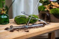 Terrarium Tools Bundle – Black Friday Deal 5 Terrarium Tools Bundle – Black Friday Deal -UrbanJngl Terrarium Plants terrarium flaschengarten tools werbe gereedschap kits diy 6c948313 9712 4aff a3fc 6aebbade348e
