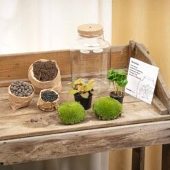 Little Milky - Terrarium With Light - Bottle Garden DIY Kit - Ø 17 Cm ↑ 25 Cm 21 Little Milky - Terrarium With Light - Bottle Garden DIY Kit - Ø 17 Cm ↑ 25 Cm -UrbanJngl Terrarium Plants terrarium kit flaschengarten trendhero DSC03665