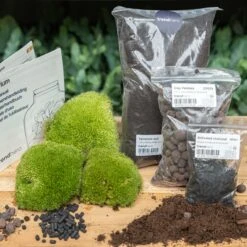 Terrarium Package β Refill & Starter Package β DIY Terrarium Kit β Size L/XL