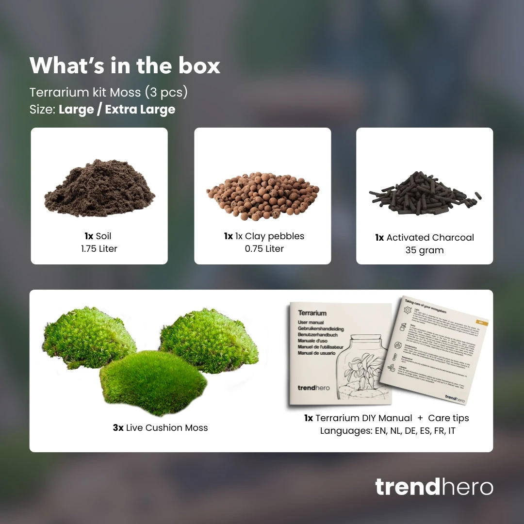 Terrarium Package – Refill & Starter Package – DIY Terrarium Kit – Size L/XL 2 Terrarium Package – Refill & Starter Package – DIY Terrarium Kit – Size L/XL - Image 2