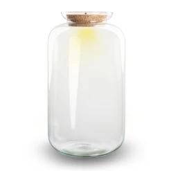 Terrarium Bottle 'Sven XL' - Incl. LED Cork - Closed Terrarium Ø 23 Cm ↑ 43 Cm -UrbanJngl Terrarium Plants terrarium sven xl flaschengarten 2