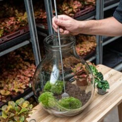 Terrarium Tool - Rake - 16-49 Cm - Telescopic - Stainless Steel 8 Terrarium Tool - Rake - 16-49 Cm - Telescopic - Stainless Steel -UrbanJngl Terrarium Plants terrarium tool telescopic