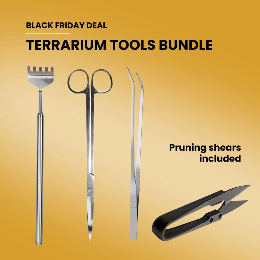 Terrarium Tools Bundle – Black Friday Deal 1 Terrarium Tools Bundle – Black Friday Deal