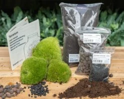 Terrarium Package – Refill & Starter Package – DIY Terrarium Kit – Size L/XL 8 Terrarium Package – Refill & Starter Package – DIY Terrarium Kit – Size L/XL -UrbanJngl Terrarium Plants terrarium trendhero flachengarten kit