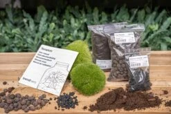 Terrarium Package – Refill & Starter Package – DIY Terrarium Kit – Size S/M -UrbanJngl Terrarium Plants trendhero terrarium kit no plants