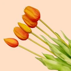 Tulip Bouquet – 10 Pieces – Mixed Colours – ‘Real Touch’ Artificial Tulips – 42 Cm (white/green) -UrbanJngl Terrarium Plants tulpen boeket oranje 5 pcs web 5e8a78fb 4f01 4623 a04d 39d29be8e923